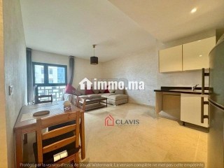 studio-meuble-avec-vue-degage-a-cfc