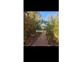 je-vends-une-belle-propriete-a-40-km-de-rabat-small-1