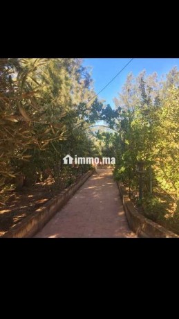 je-vends-une-belle-propriete-a-40-km-de-rabat-big-1
