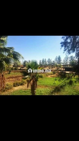 je-vends-une-belle-propriete-a-40-km-de-rabat-big-2