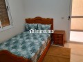 appartement-familial-meuble-avec-wi-fi-small-1