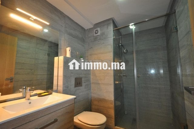 appartement-meuble-a-louer-idealement-agence-big-3