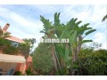 villa-1024-m2-4-chambres-piscine-plein-sud-small-1