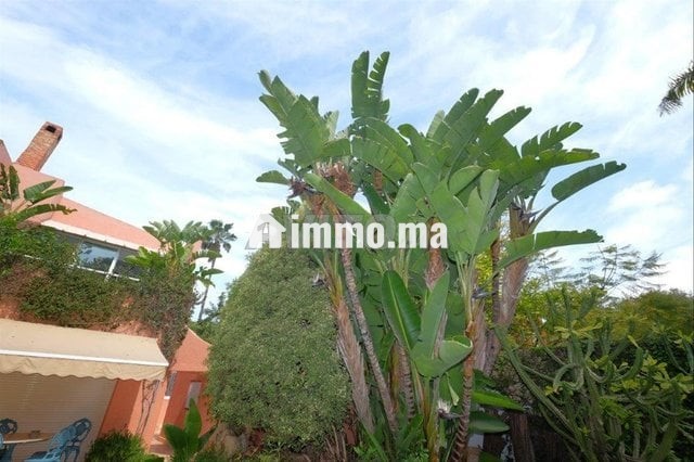 villa-1024-m2-4-chambres-piscine-plein-sud-big-1