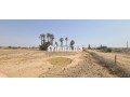 terrain-a-vendre-small-4