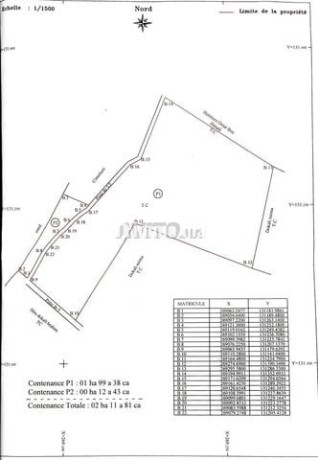terrain-a-vendre-big-2