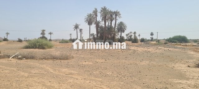 terrain-a-vendre-big-3