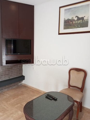 appartement-de-ville-quai-vert-big-4
