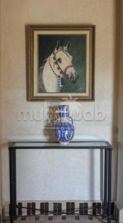splendide-villa-a-vendre-sur-la-route-de-lourika-big-6