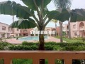 duplex-a-loyee-a-sidi-bouzid-small-0