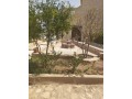 villa-a-louer-small-1