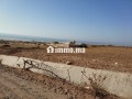 arady-aal-ogh-albhr-soyr-small-1