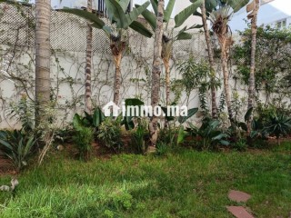 appartement-a-vendre-a-racine-rue-ali-abderazak
