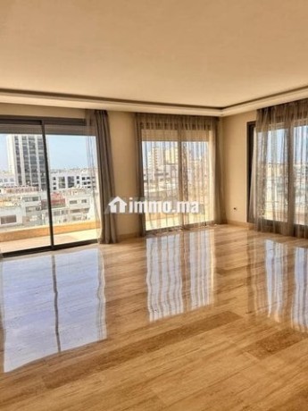 appartement-vide-ou-bien-meuble-a-louer-big-0
