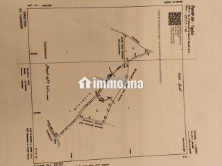 terrain-route-dourika