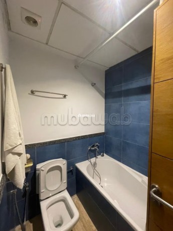 appartement-meuble-en-location-big-9