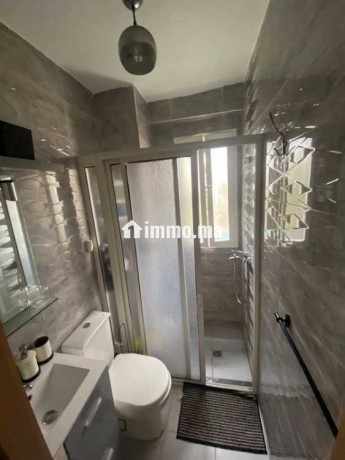 appartement-meuble-a-louer-big-6