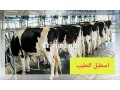 mshroaa-trby-alabkar-otsmyn-alaagol-small-2
