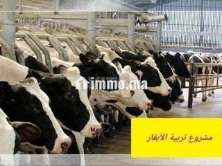 mshroaa-trby-alabkar-otsmyn-alaagol