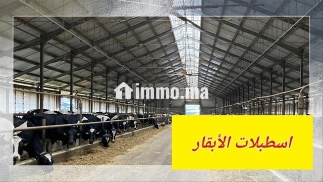 mshroaa-trby-alabkar-otsmyn-alaagol-big-1