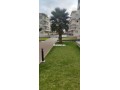 appartement-a-louer-62-m2-a-mohammedia-small-2