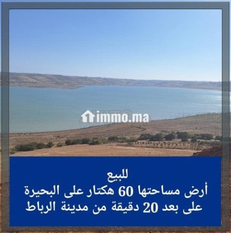 ard-aal-albhyr-60-hktar-big-0