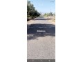 ard-llbyaa-almsah-800mtr-tryk-gmaa-aghmat-small-1