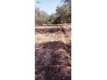 ard-llbyaa-almsah-800mtr-tryk-gmaa-aghmat-small-2