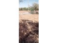 ard-llbyaa-almsah-800mtr-tryk-gmaa-aghmat-small-3