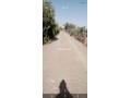 ard-llbyaa-almsah-800mtr-tryk-gmaa-aghmat-small-4