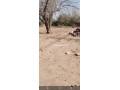 ard-llbyaa-almsah-800mtr-tryk-gmaa-aghmat-small-5