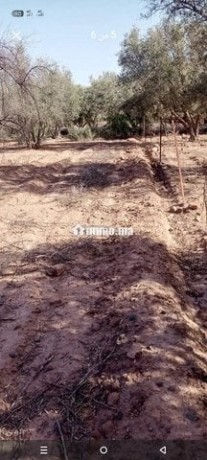 ard-llbyaa-almsah-800mtr-tryk-gmaa-aghmat-big-2