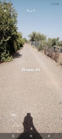 ard-llbyaa-almsah-800mtr-tryk-gmaa-aghmat-big-4