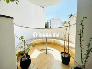 location-bel-appartement-non-meuble-vide-gauthier-terrasse