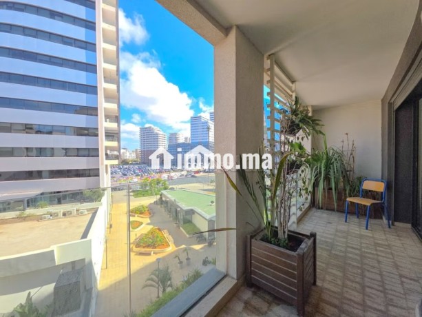 bel-appartement-lumineux-plein-sud-big-9