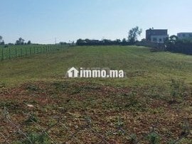 terrain-agricole
