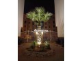 appartement-a-louer-60-m2-a-casablanca-small-3