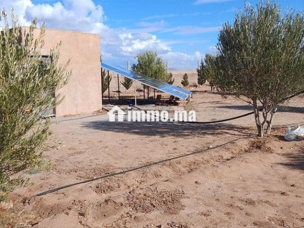 ferme-5000m2-km16-bon-afir-urgent-big-1