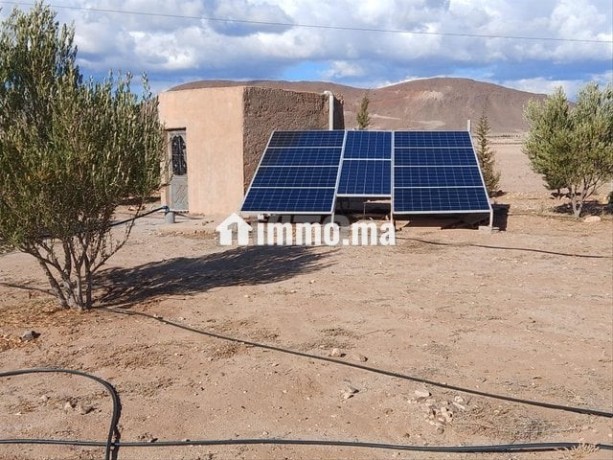 ferme-5000m2-km16-bon-afir-urgent-big-3