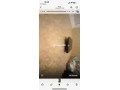 studio-meuble-a-louer-small-3