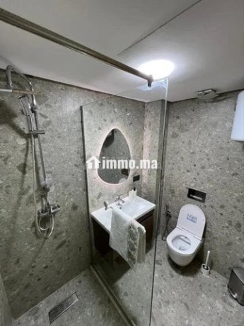 appartement-300-lila-centre-ville-big-4