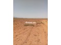 arad-flahy-llbyaa-small-1