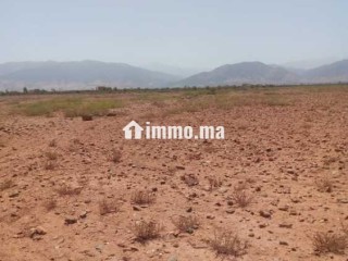 arad-flahy-llbyaa
