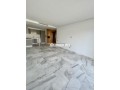 studio-a-louer-a-palmier-small-0