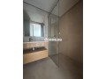 studio-a-louer-a-palmier-small-2