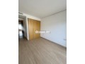 studio-a-louer-a-palmier-small-3