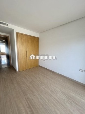 studio-a-louer-a-palmier-big-3