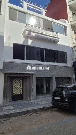 immeuble-professionnel-renove-big-0
