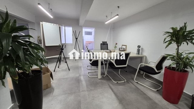 immeuble-professionnel-renove-big-4