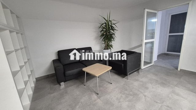 immeuble-professionnel-renove-big-5